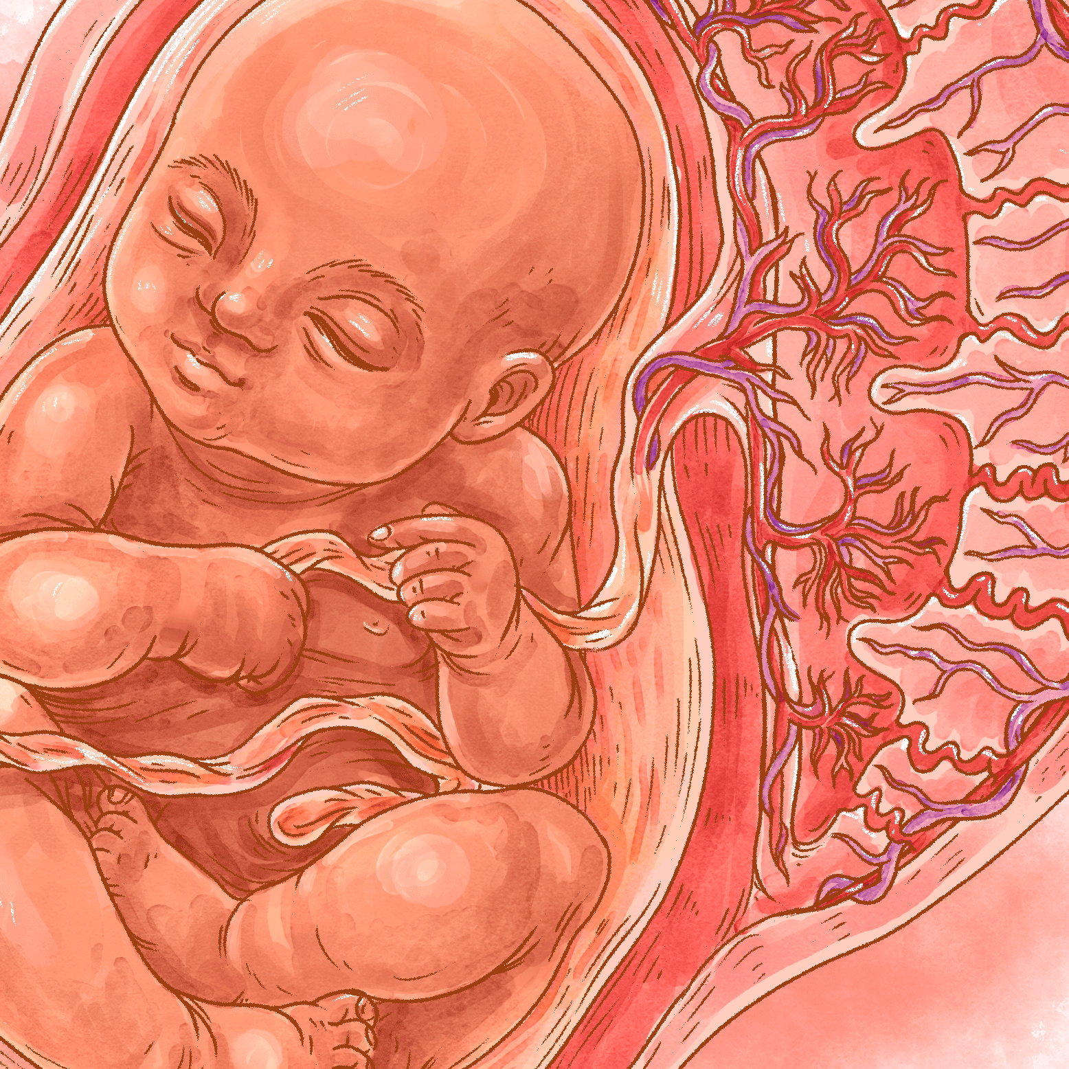 Doula Training
